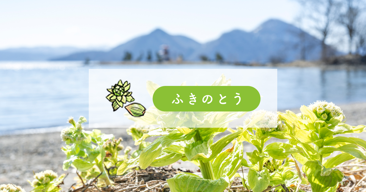 ふきのとう 株式会社ふきのとう｜東京都足立区の児童発達支援・放課後等デイ
